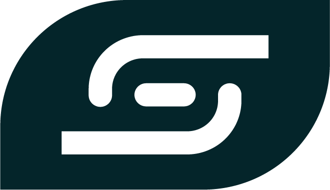 Solve Networks logo